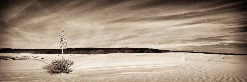 Wedding Client Print Club