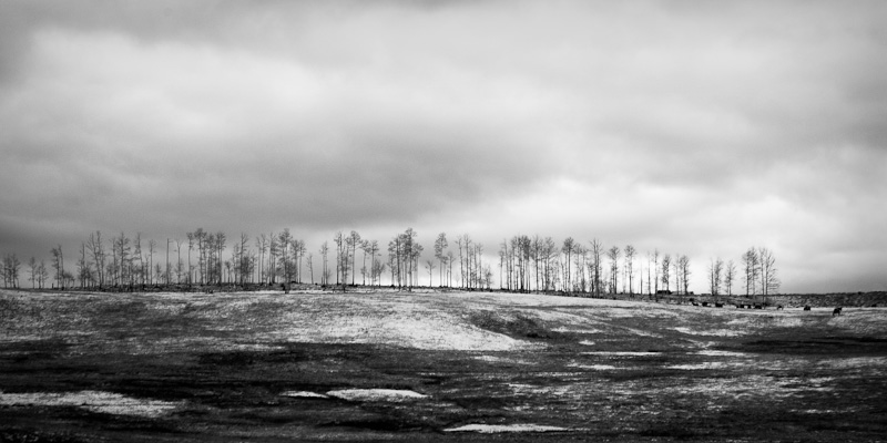 A Snowy Telluride Morning