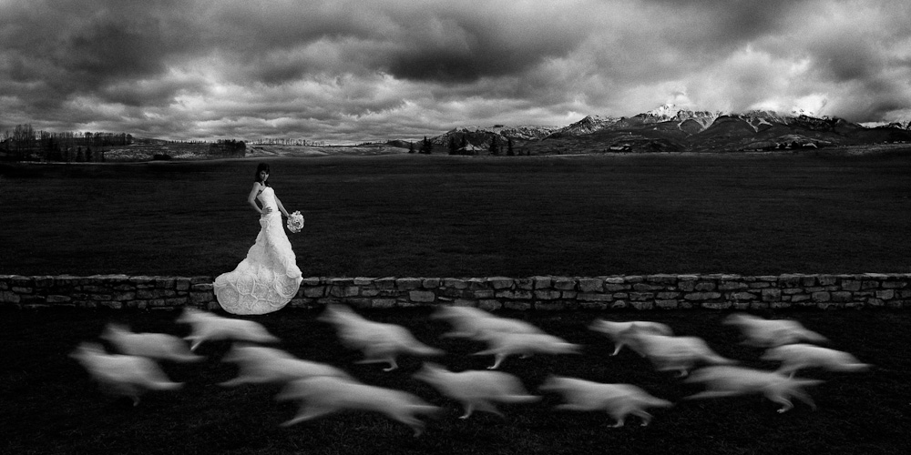 Untouchable. Aka: Paul Caponigro’s Bride