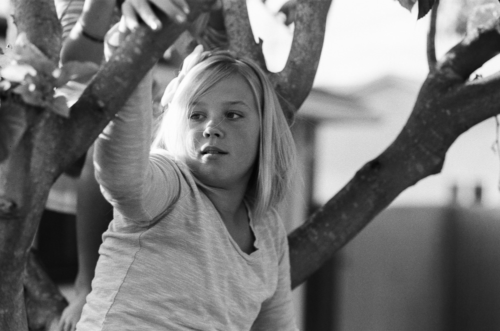 Close up portrait of young girl (Kate) in tree. ©William Bay Photographic Arts.