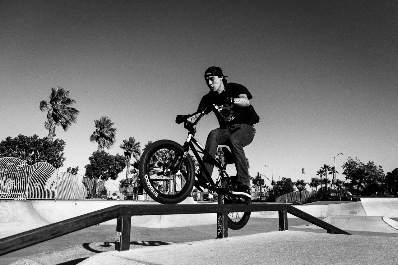 A Day at the Park (Skatepark That Is)